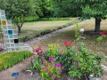 3_Sommer