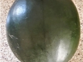 70